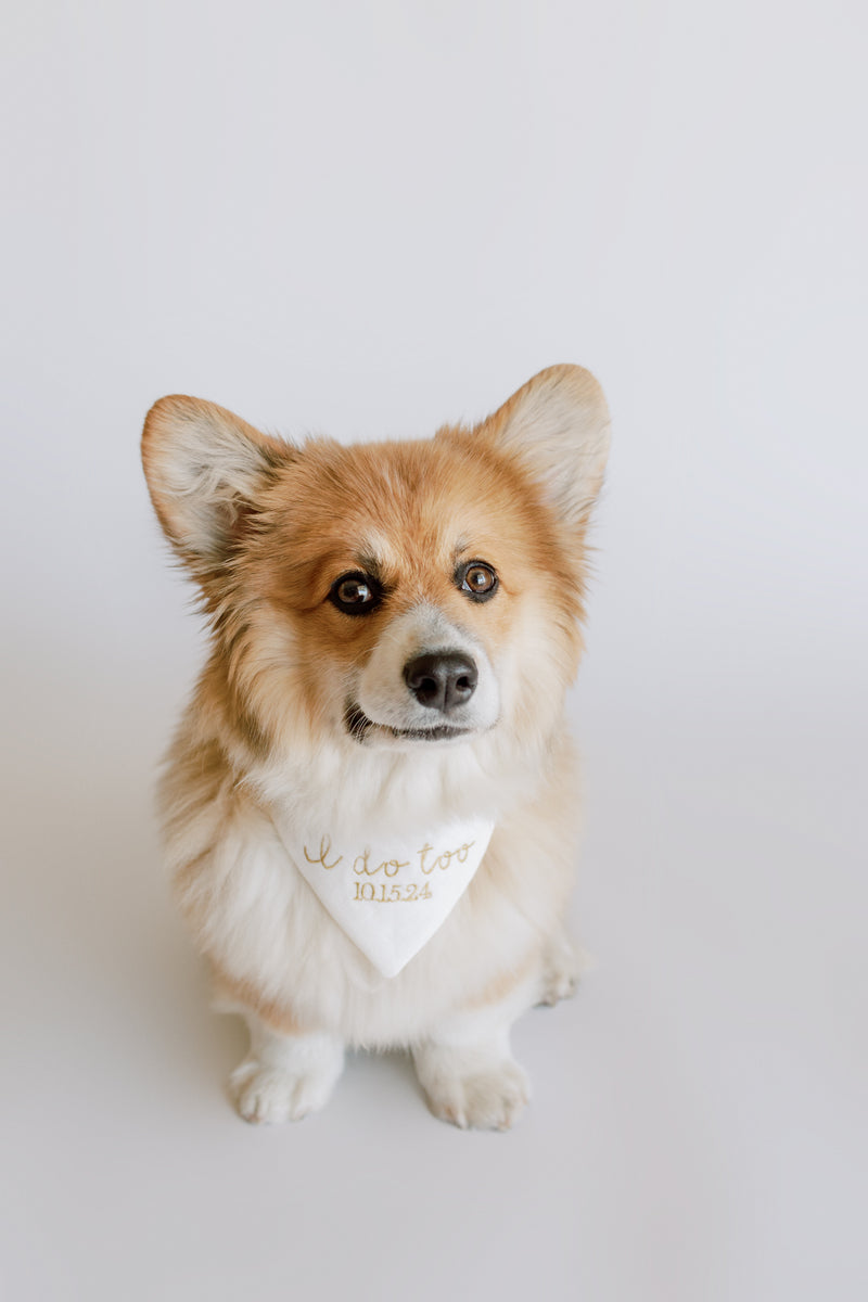 Corgi wearing a bandana with wedding i do too with date text on a white background