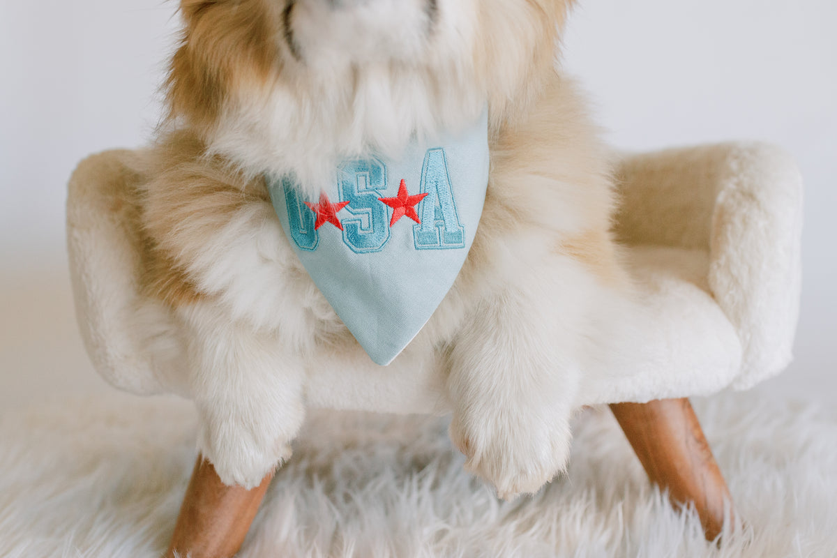 All American Embroidered Dog Bandana - Canoodle Company