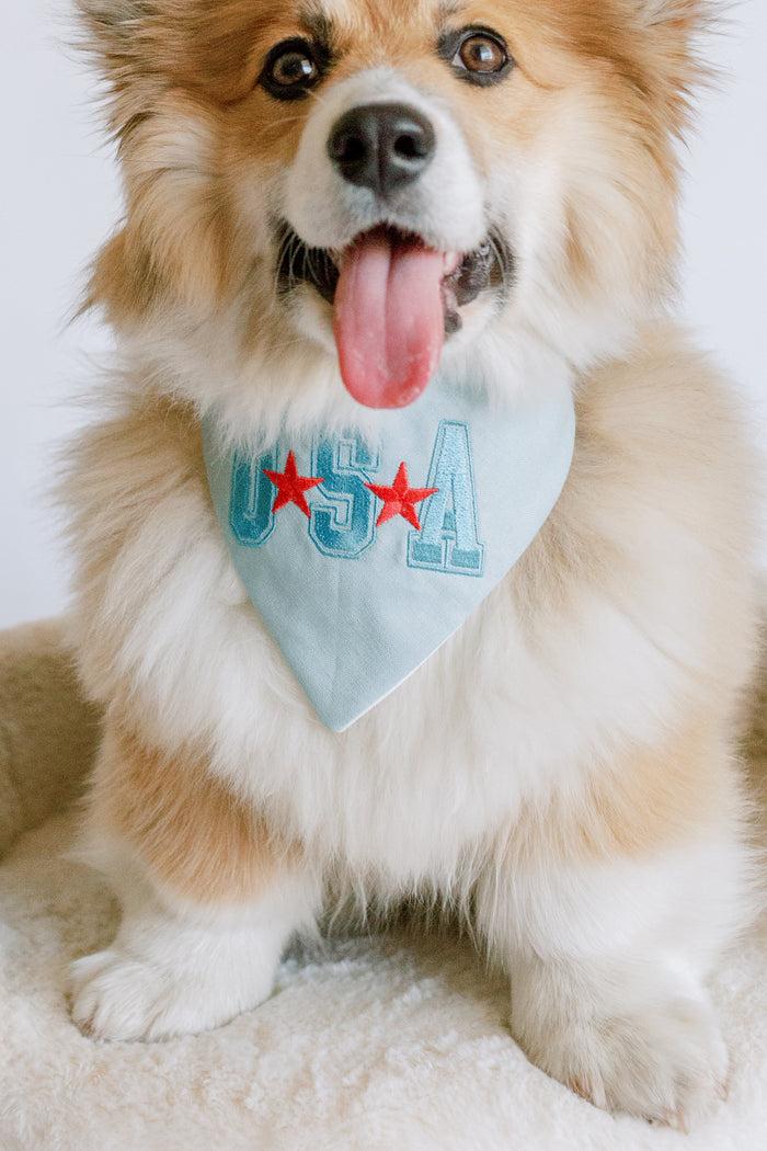 All American Embroidered Dog Bandana