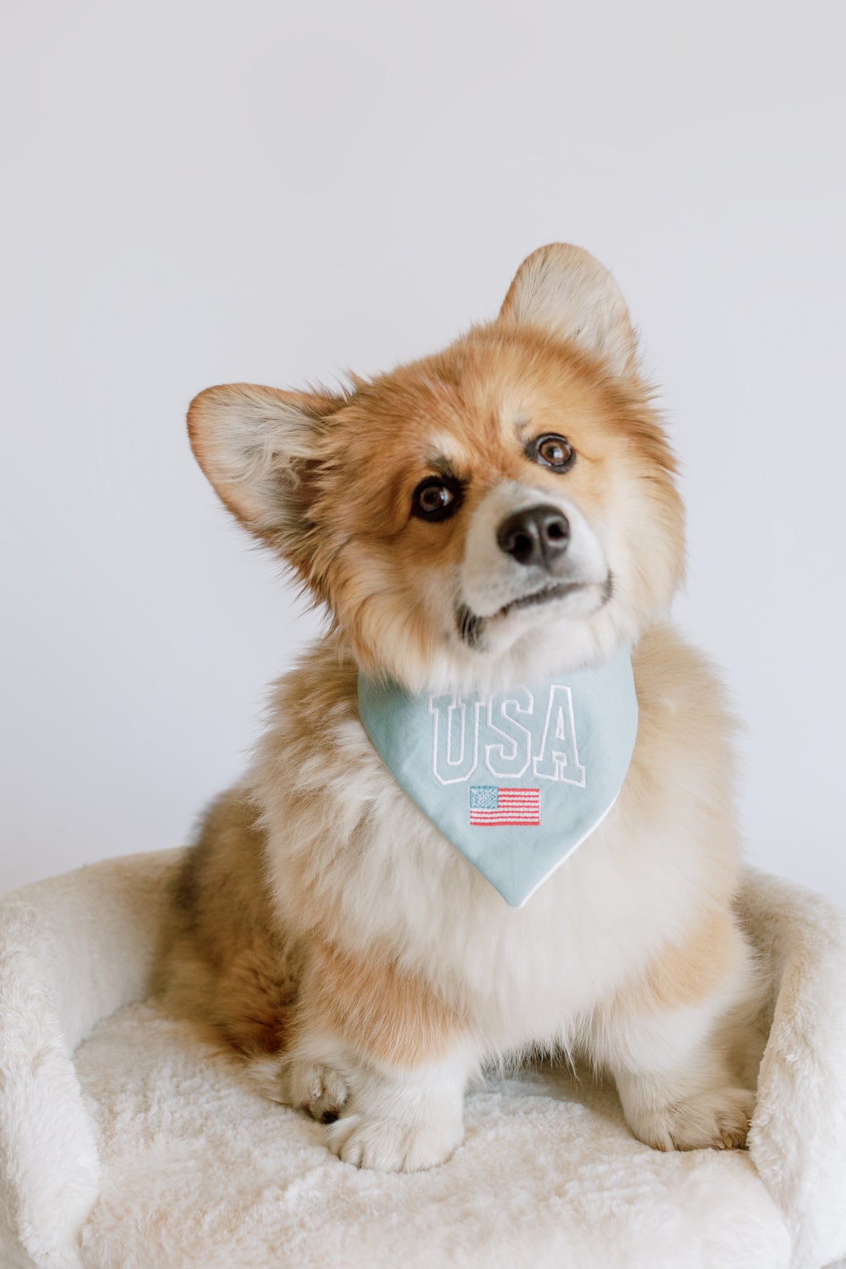 USA with Flag Embroidered Dog Bandana - Canoodle Company