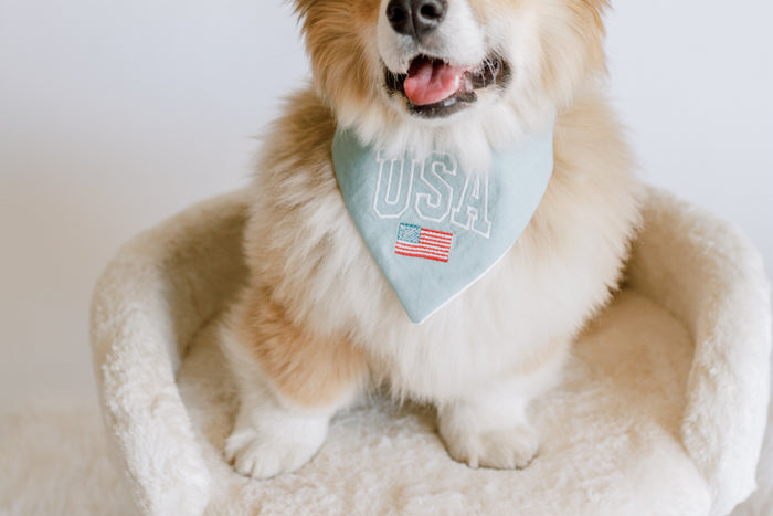 USA with Flag Embroidered Dog Bandana - Canoodle Company