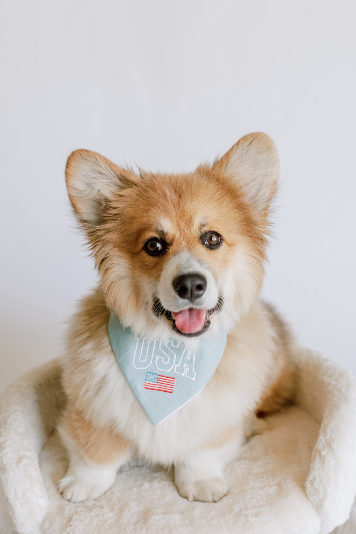 USA with Flag Embroidered Dog Bandana - Canoodle Company