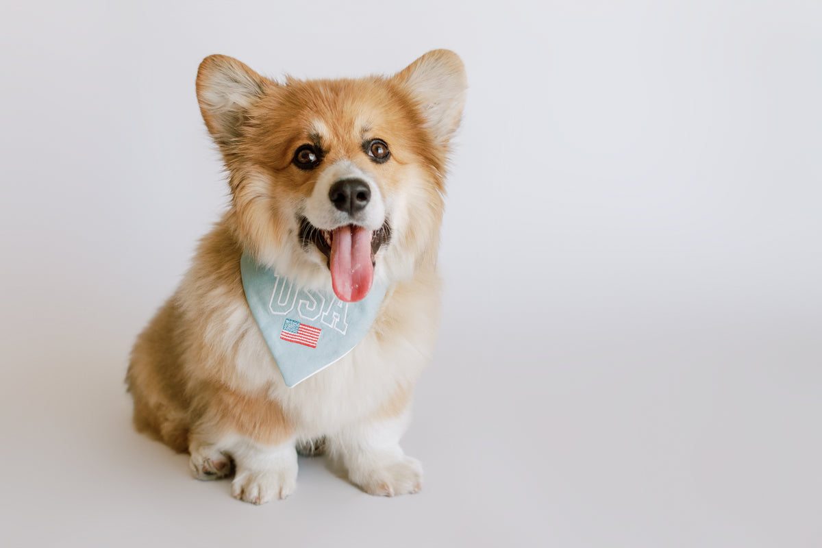 USA with Flag Embroidered Dog Bandana - Canoodle Company