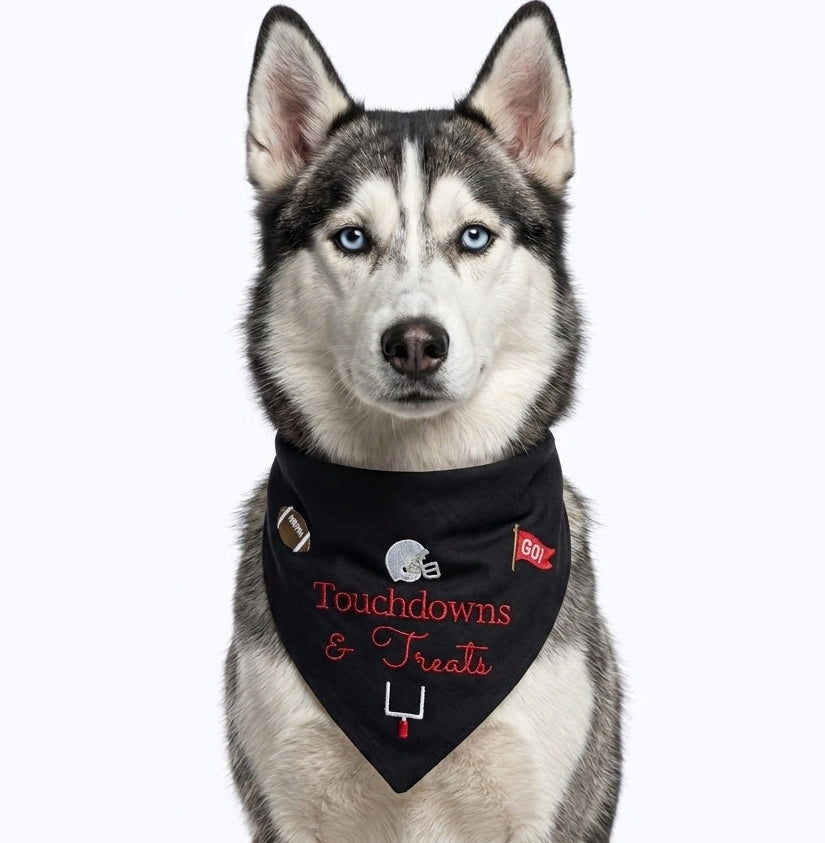 A Siberian husky dog wearing a black bandana with 'Touchdowns & Treats' written in red script, decorated with football and flag graphics, against a plain white background.