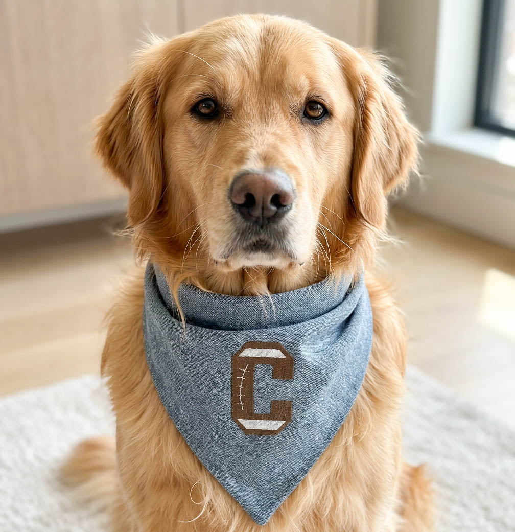 Football Letter Embroidered Dog Bandana | CUSTOM COLORS