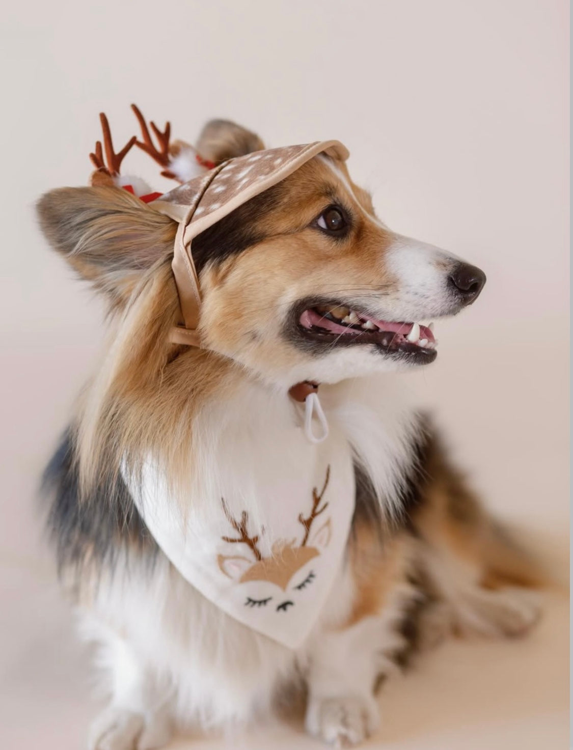 Reindeer Embroidered Dog Bandana