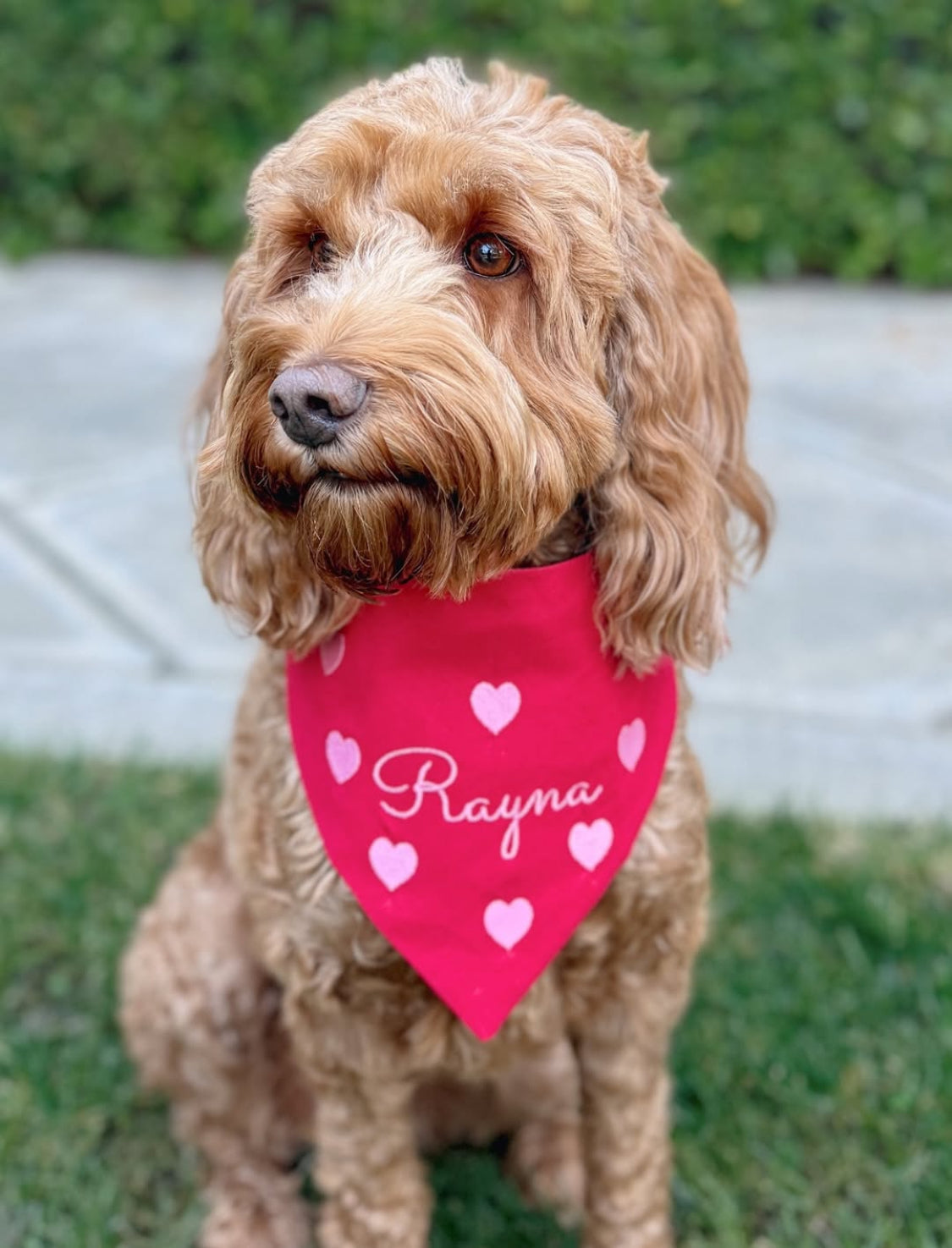 Sweetheart Embroidered Dog Bandana