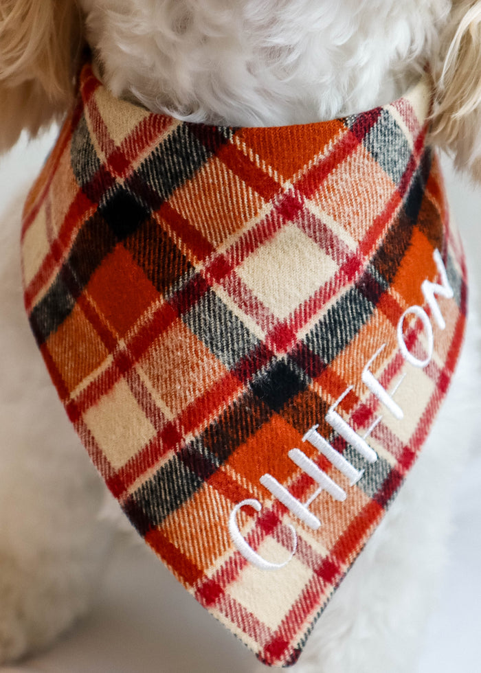 Dog wearing a plaid bandana with text on it, sitting on a white surface.