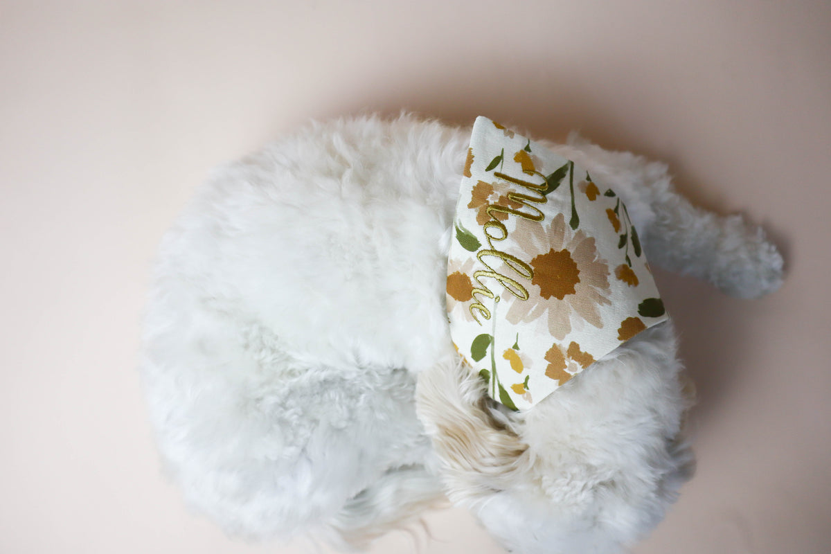 Small dog wearing a floral-patterned bandana on a plain background