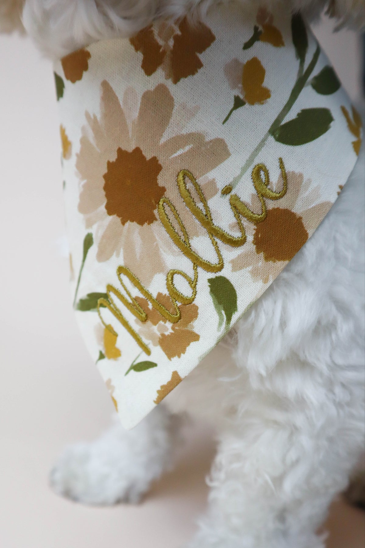 White dog wearing a floral bandana with 'Mollie' on a light background