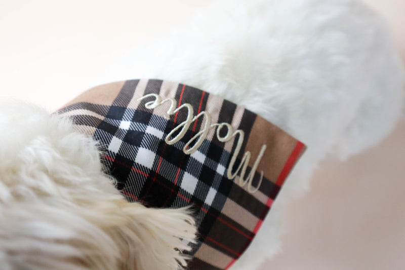 Plaid dog bandana with 'Molly' embroidered on a white dog.
