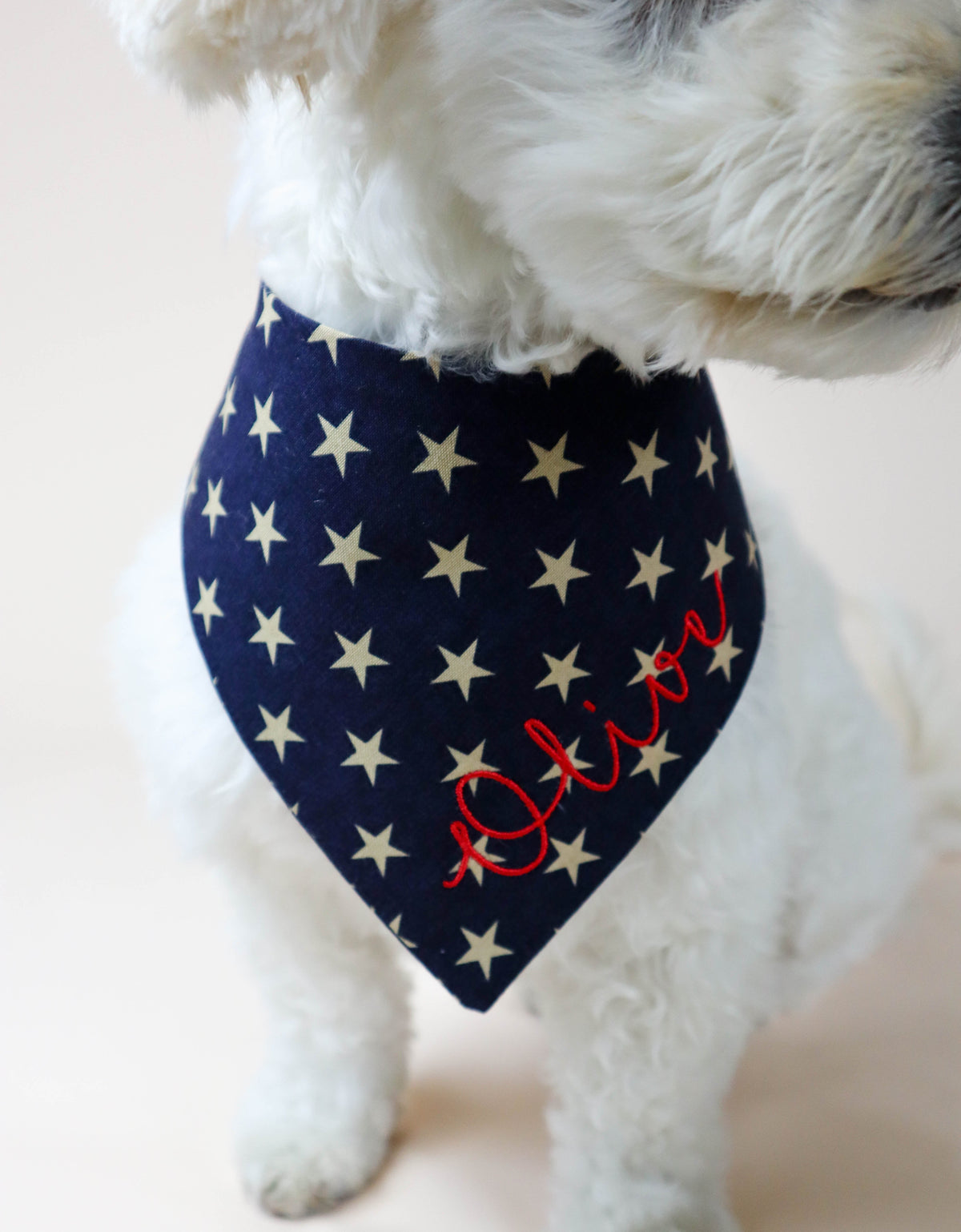 Stars Embroidered Dog Bandana - Canoodle Company
