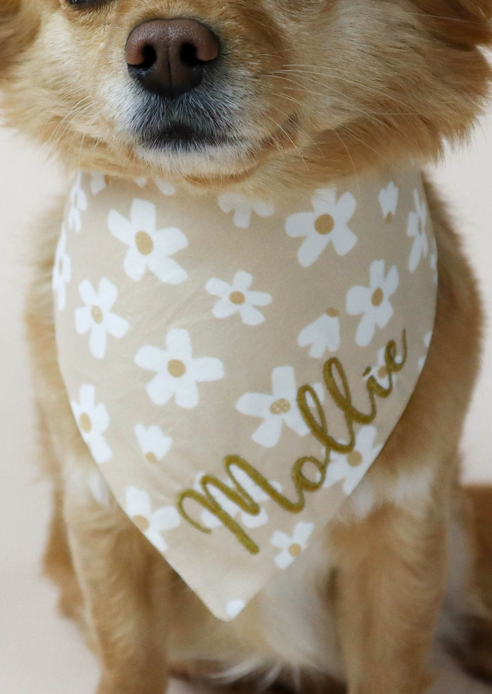 Small dog wearing a blush bandana with floral patterns and text on a plain background
