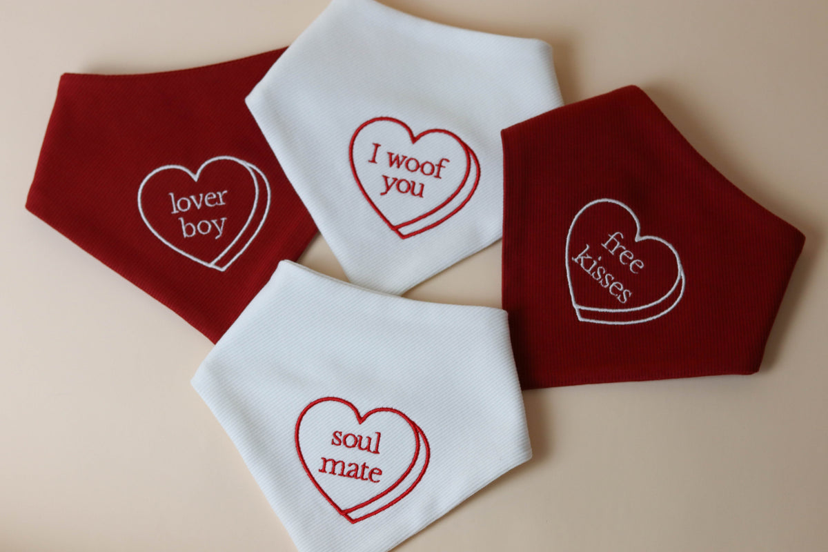 CUSTOM Conversation Heart Embroidered Dog Bandana