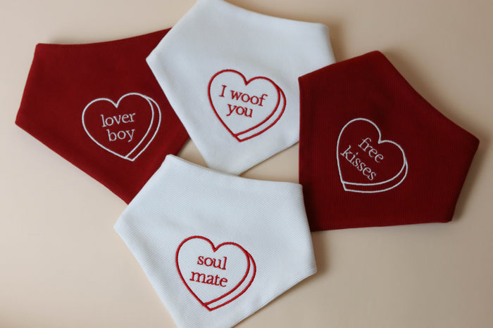 CUSTOM Conversation Heart Embroidered Dog Bandana