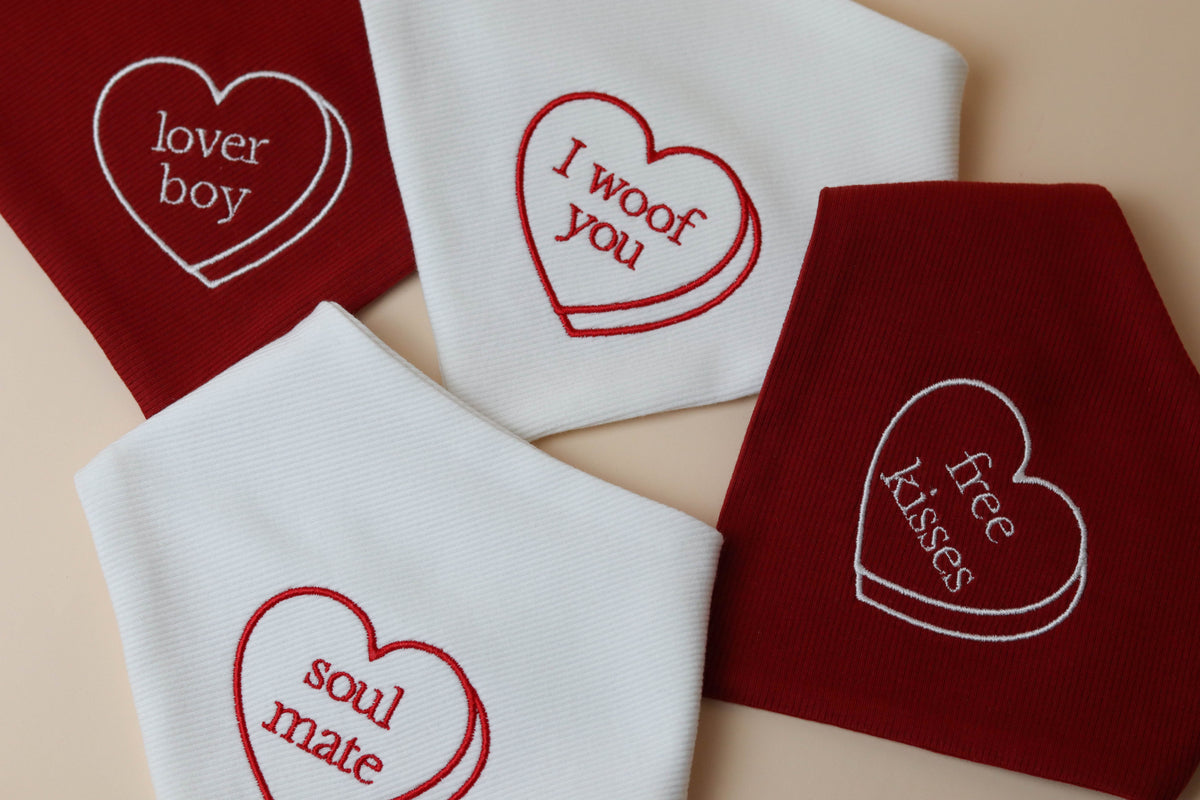 CUSTOM Conversation Heart Embroidered Dog Bandana