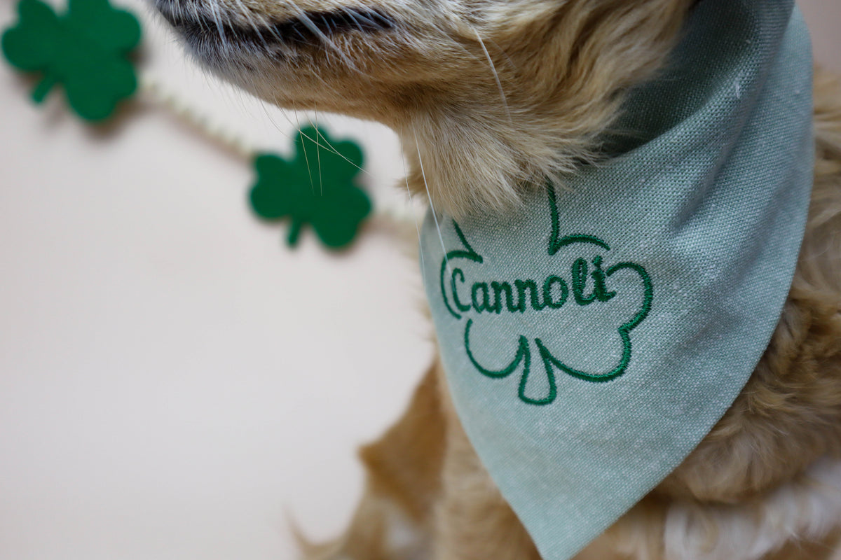 Shamrock with Name Embroidered Dog Bandana