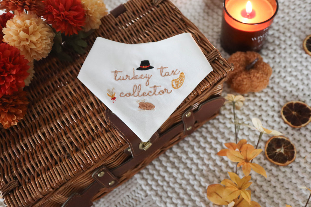 Turkey Tax Collector Embroidered Dog Bandana - Canoodle Company