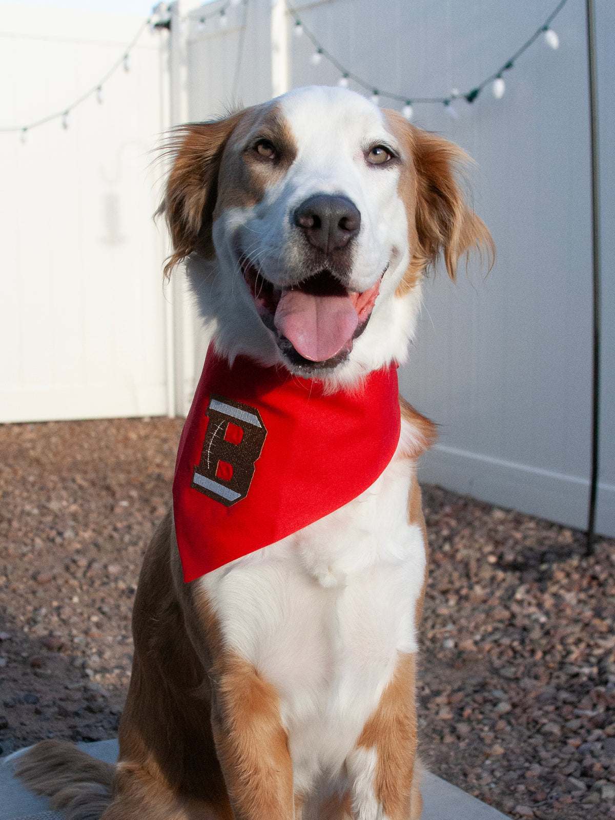 Football Letter Embroidered Dog Bandana | CUSTOM COLORS