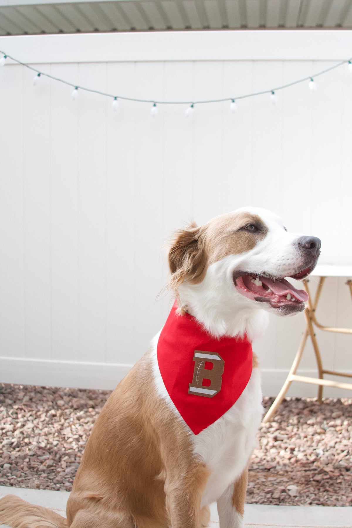 Football Letter Embroidered Dog Bandana | CUSTOM COLORS