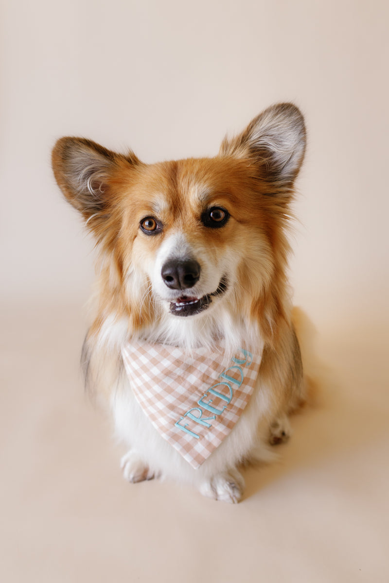 Dog wearing a checkered bandana with text on a plain background