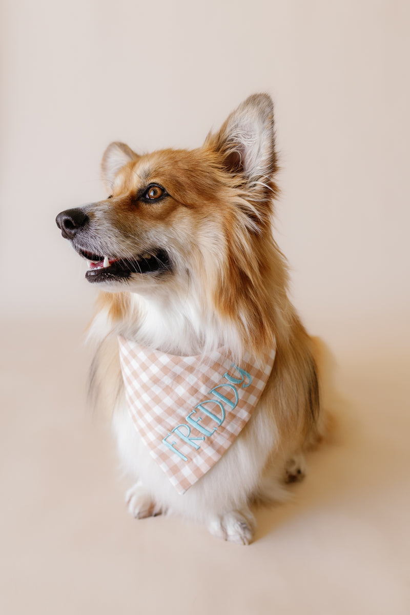 Dog wearing a checkered bandana with text on a plain background