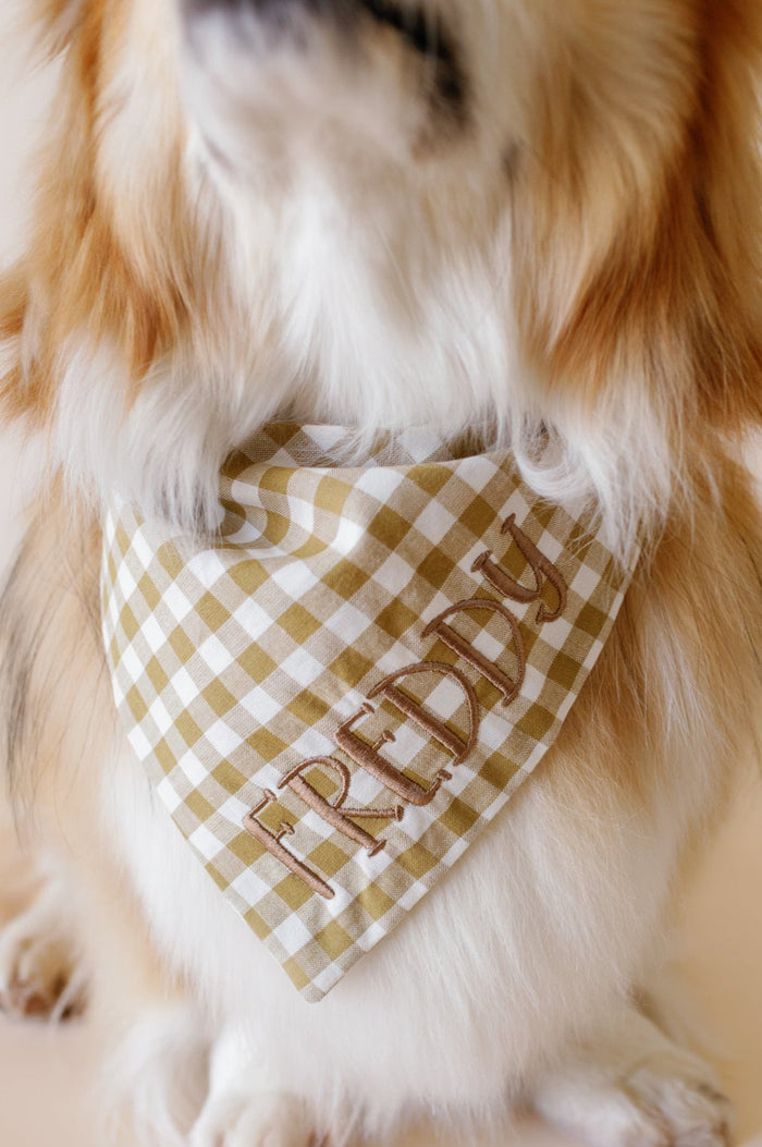 Dog wearing a green checkered bandana with 'Freddy' on a beige background