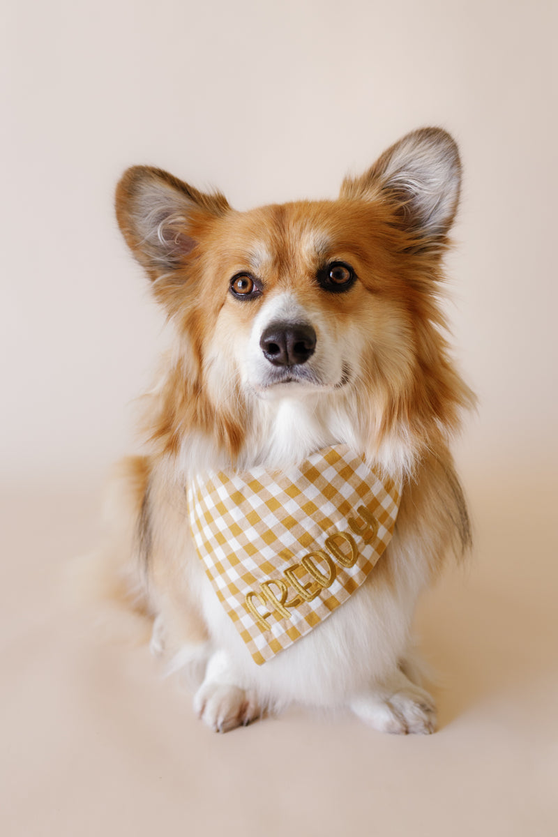 Dog wearing a yellow checkered bandana with text on a plain background