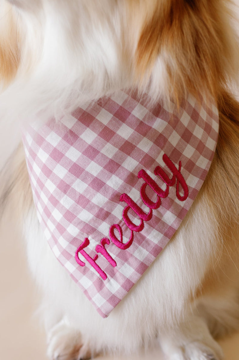 Dog wearing a purple checkered bandana with 'Freddy' on a light background