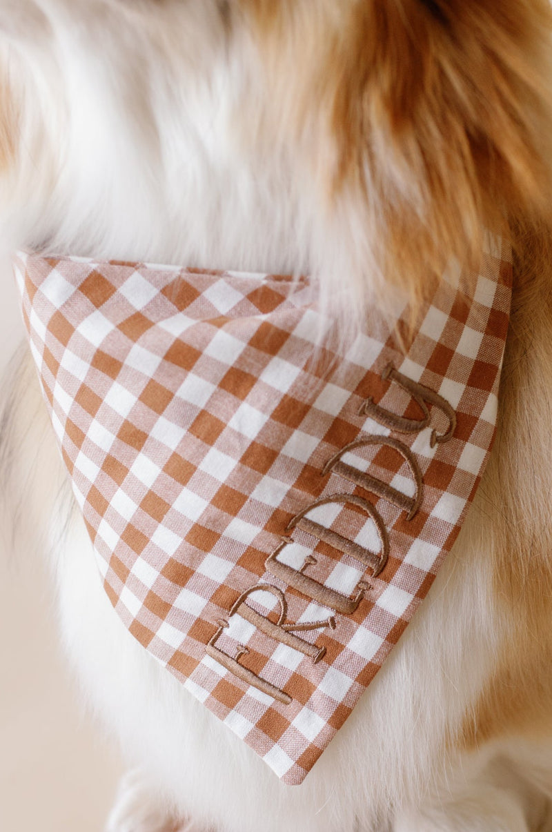 Dog wearing a checkered bandana with text on a light background