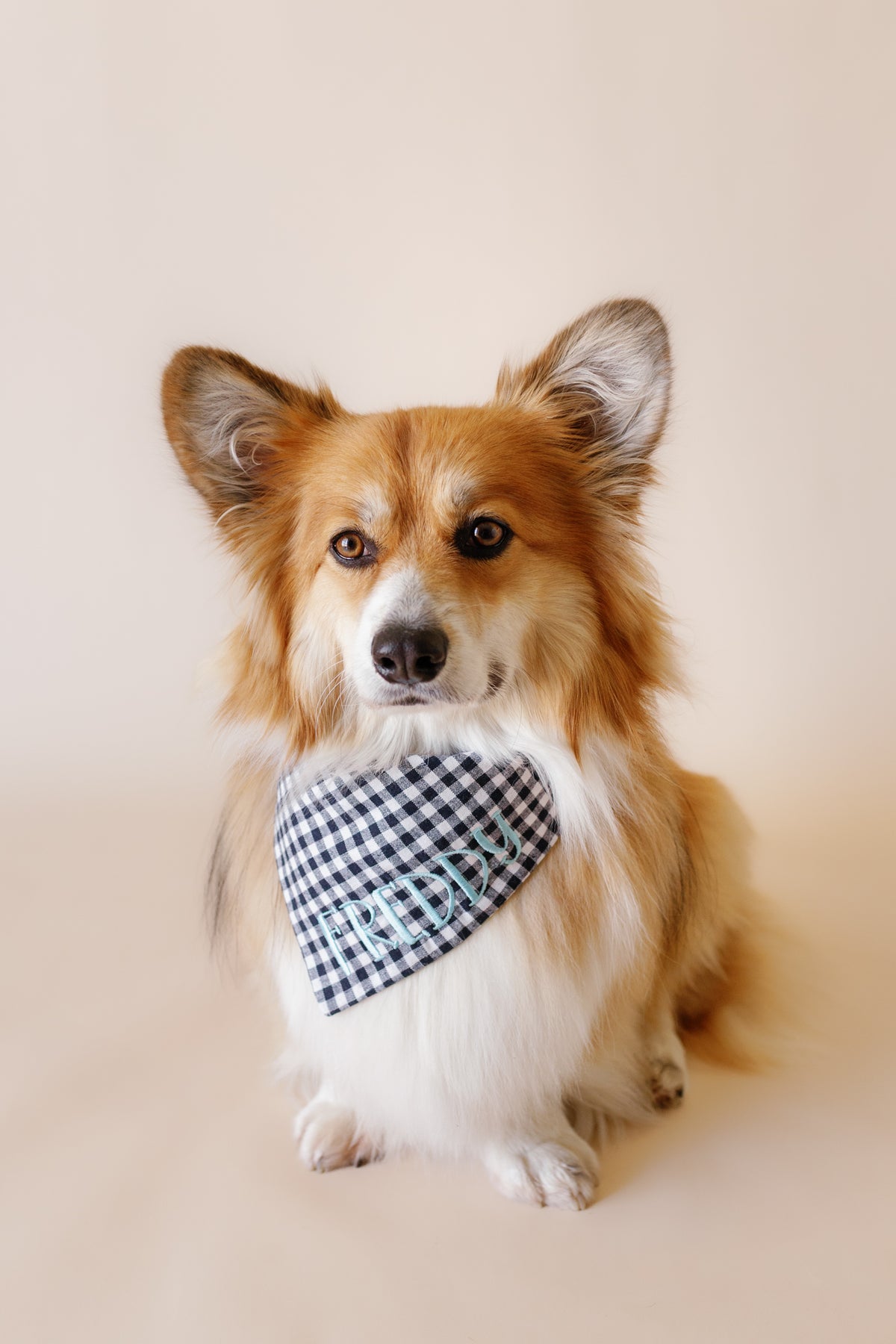 Dog wearing a checkered bandana on a beige background