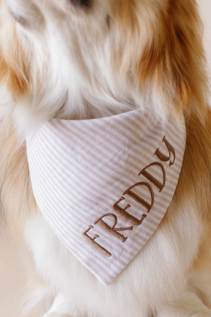 Dog wearing a white and brown striped bandana with 'FREDDY' embroidered on it against a neutral background