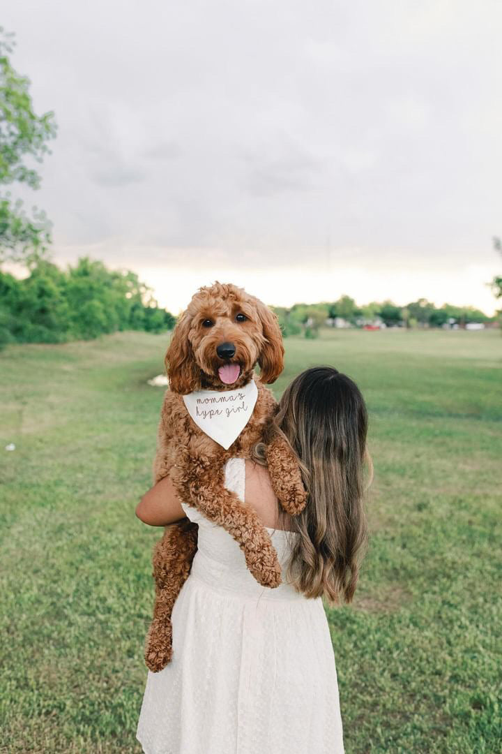 Woman holding a brown dog with a bandana in a grassy field