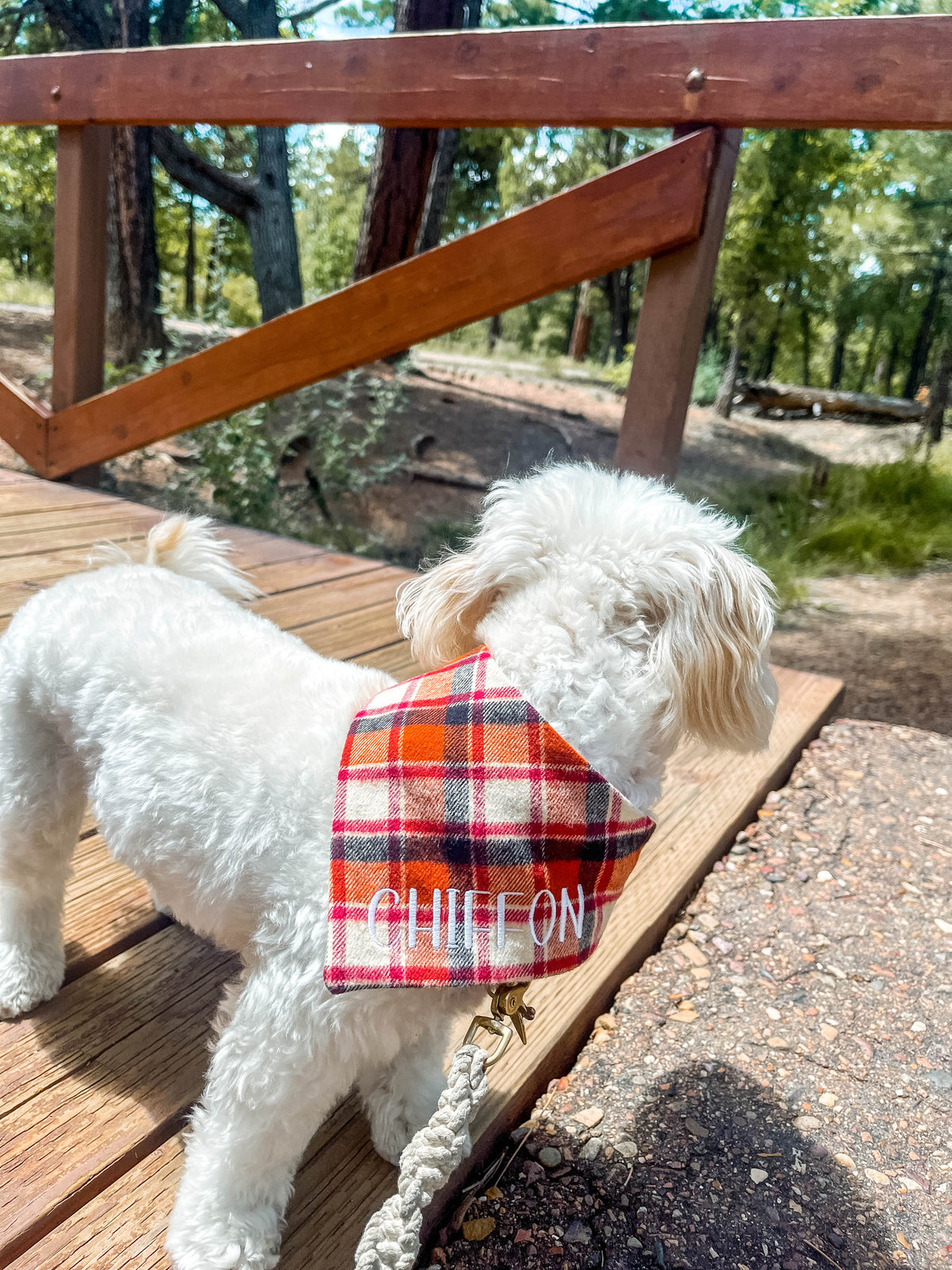 plaid bandana that is custom embroidered with your dogs name 