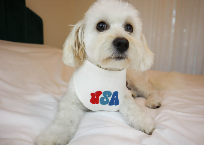 Groovy USA Embroidered Dog Bandana