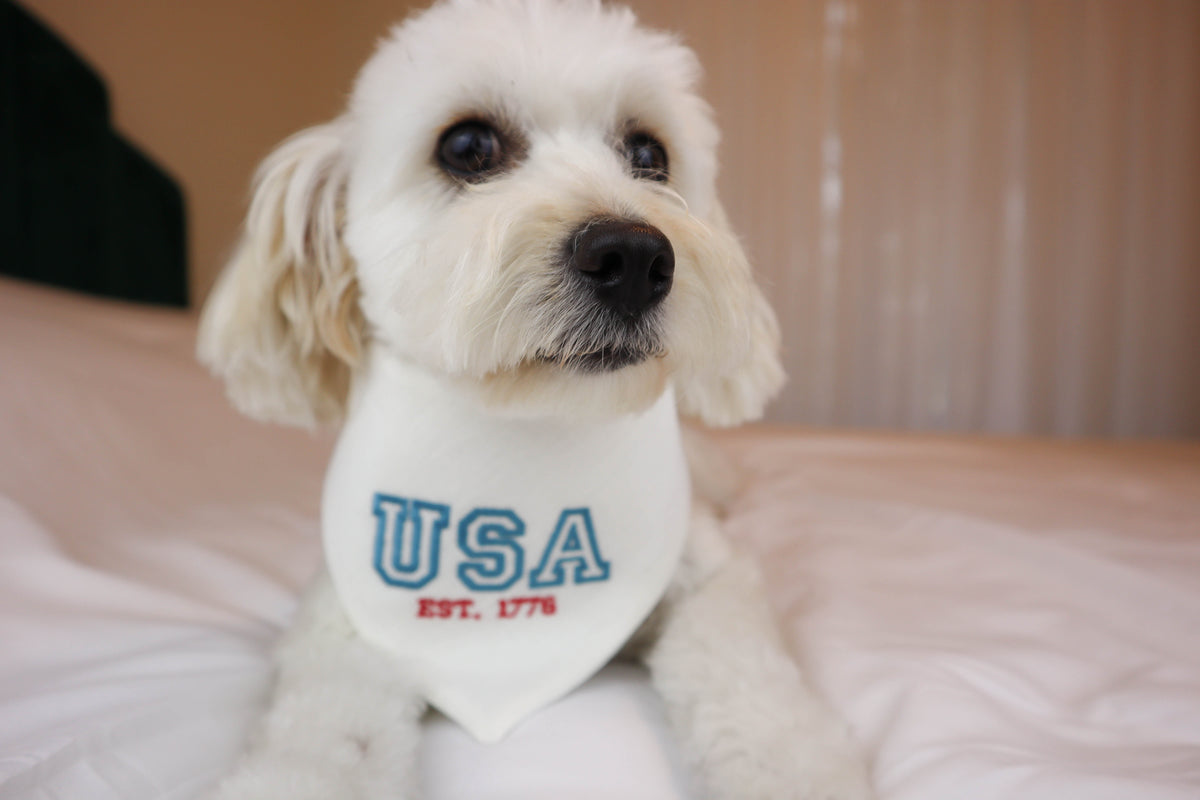 Varsity Letters USA Embroidered Dog Bandana - Canoodle Company