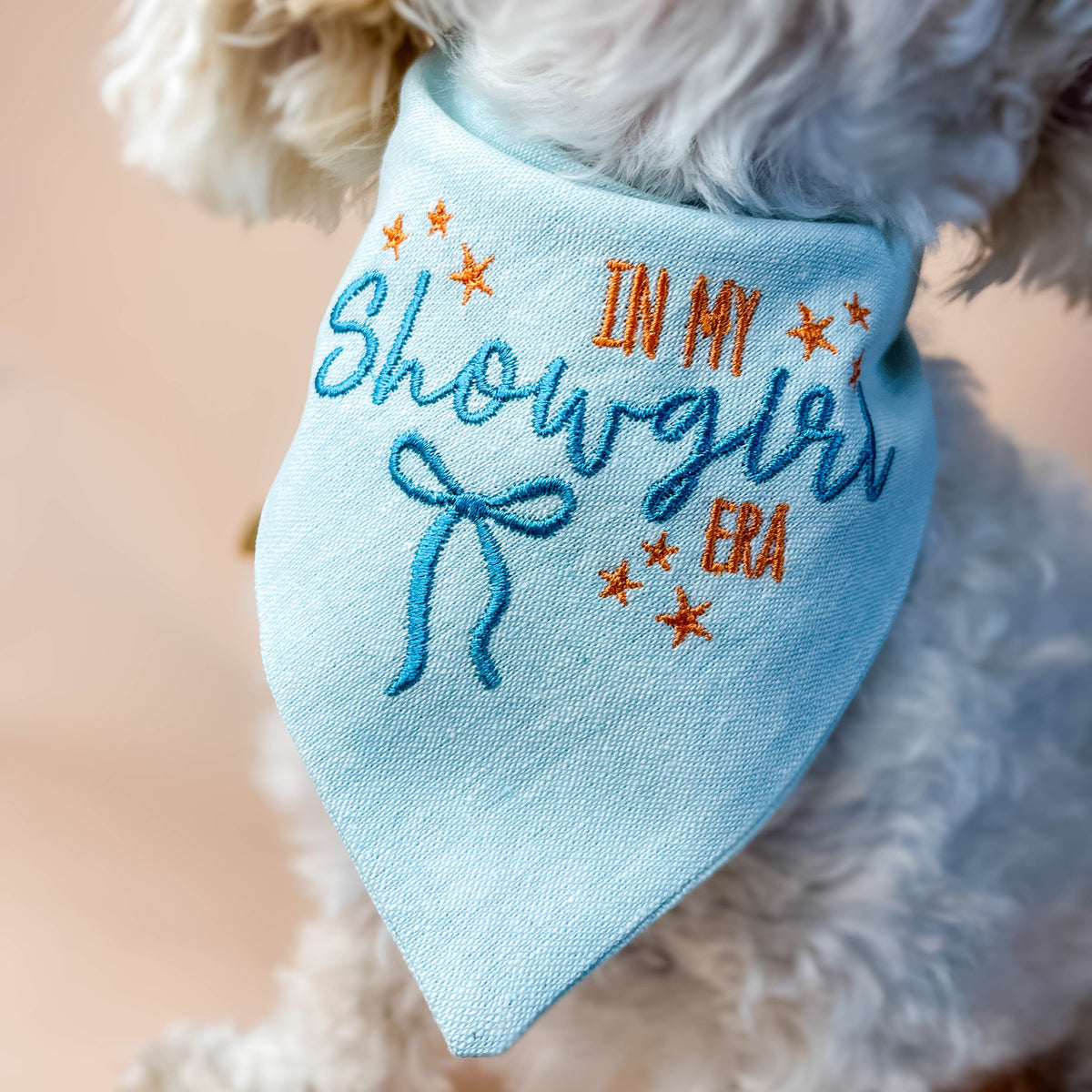 Dog wearing a light blue bandana with embroidered text on a soft background
