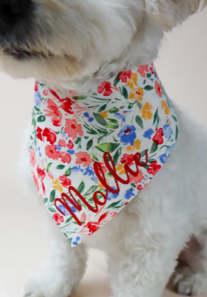 Dog wearing a colorful floral bandana with 'Mollie' printed on it.