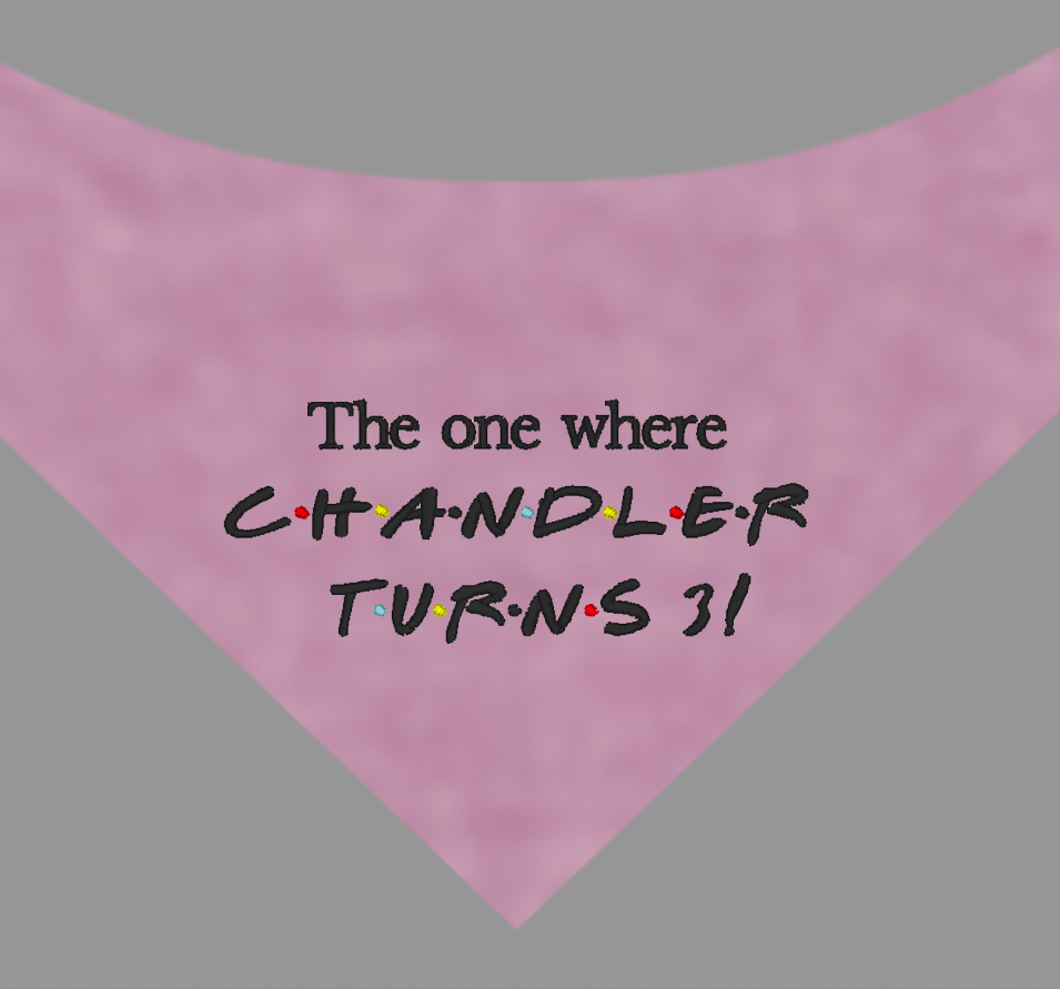 2 Medium Friends Bandanas in Berry fabric