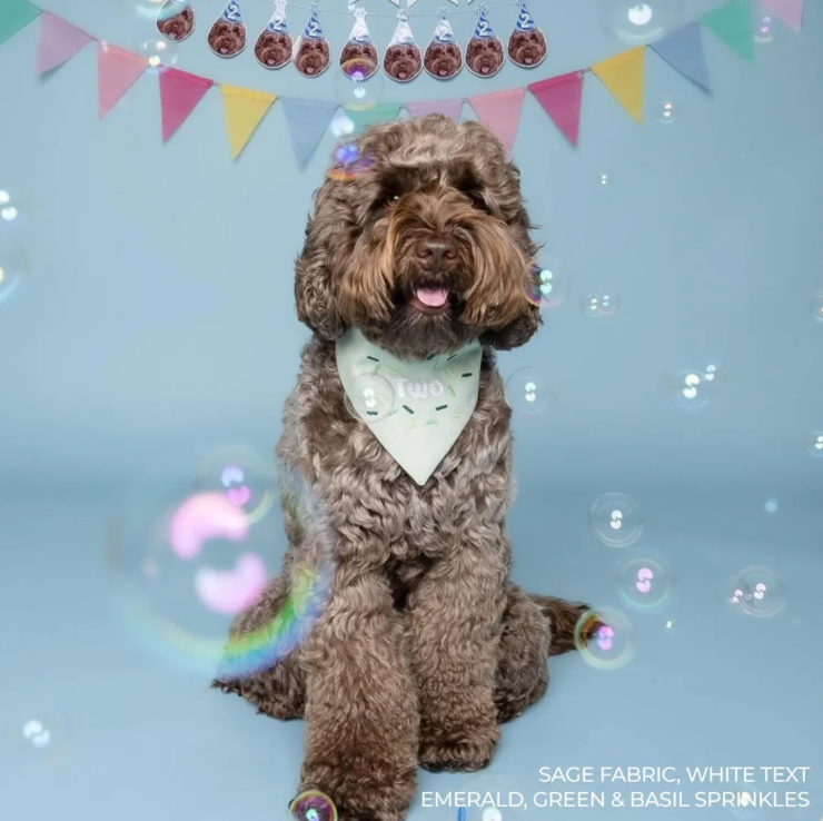 Brown dog wearing a birthday bandana with text, sitting in front of a decorative banner with small dog figures and colorful flags.