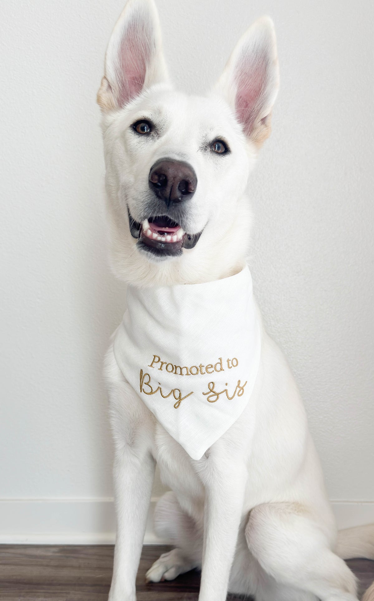 White dog wearing a bandana with 'Promoted to Big Sis' text on a white background